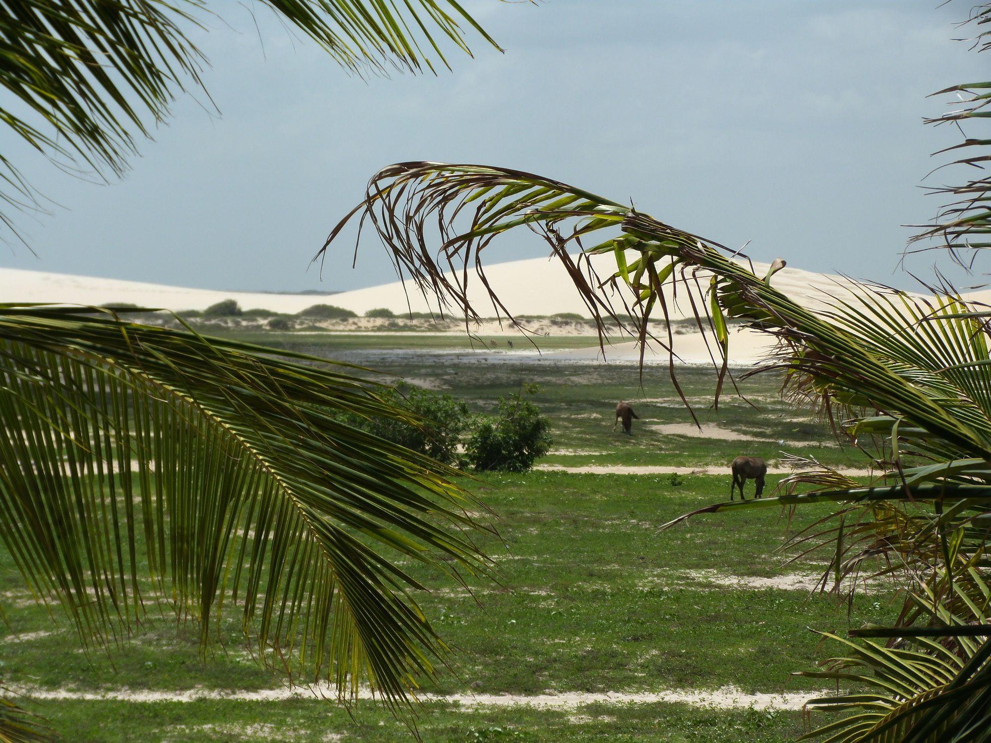 Pousada Mahi Jijoca de Jericoacoara Esterno foto